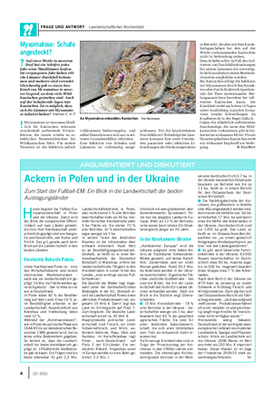 FRAGE UND ANTWORT Landwirtschaftliches Wochenblatt Myxomatose: Schafe angesteckt?