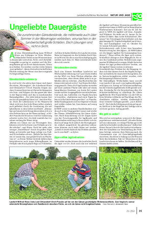 Landwirtschaftliches Wochenblatt NATUR UND JAGD A uf eine Ährenbehandlung kann Wilfried Rinne aus Eisbergen im Kreis Minden- Lübbecke bei Teilen seines Winterweizens in diesem Jahr verzichten.