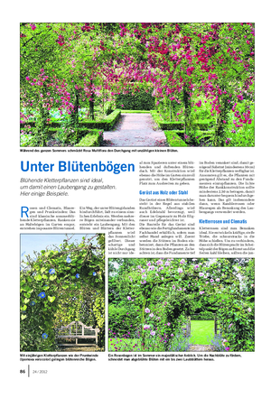 GARTEN Landwirtschaftliches Wochenblatt R osen und Clematis, Blaure- gen und Prunkwinden: Das sind klassische sommerblü- hende Kletterpflanzen.