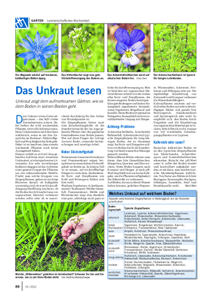 GARTEN Landwirtschaftliches Wochenblatt Das Unkraut lesen Unkraut zeigt dem aufmerksamen Gärtner, wie es dem Boden in seinen Beeten geht.