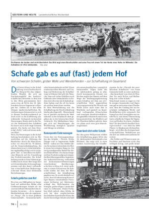 GESTERN UND HEUTE Landwirtschaftliches Wochenblatt D ie Entwicklung in der Schaf- haltung ist ein eindrucksvol- les Beispiel für den tiefgrei- fenden Wandel, der sich am Erscheinungsbild des landwirt- schaftlichen Betriebes in dem hier in den Blick genommenen Zeit- raum etwa ab Mitte des 19.