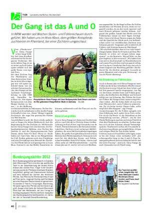 TIER Landwirtschaftliches Wochenblatt V om „Pferdevirus“ ist Alexa Prange schon lange befal- len.