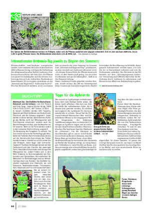 Wissenschaftler verschiedener europäischer Länder, unter anderem des Julius Kühn-Instituts (JKI) in Braunschweig, verfolgen die Verbreitung der allergieauslösenden Beifuß-Ambrosie (Am- brosia artemisiifolia).