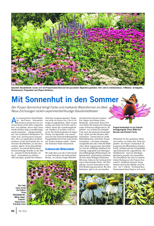 GARTEN Landwirtschaftliches Wochenblatt A ls sommerlicher Dauerblüher ist der Purpur -Sonnenhut (Echinacea purpurea) aus un- seren Gärten nicht mehr wegzuden- ken.