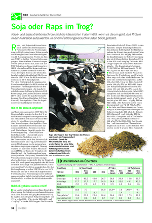 TIER Landwirtschaftliches Wochenblatt R aps- und Sojaextraktionsschrote sind die beiden bedeutsamsten Futtermittel für die Proteinergän- zung in Milchkuhrationen.