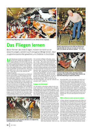 TIER Landwirtschaftliches Wochenblatt M it Spannung erwartet ein Legehennenhal- ter stets die Ankunft der Junghennen auf seinem Betrieb.