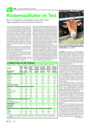 TIER Landwirtschaftliches Wochenblatt Rindermastfutter im Test Bei der Energetischen Futterwertprüfung wurden sieben Ergänzungsfutter für die Rindermast untersucht.