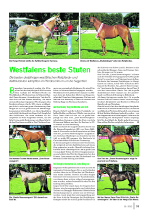Landwirtschaftliches Wochenblatt TIER Westfalens beste Stuten Die besten dreijährigen westfälischen Reitpferde- und Kaltblutstuten kämpften im Pferdezentrum um die Siegertitel.