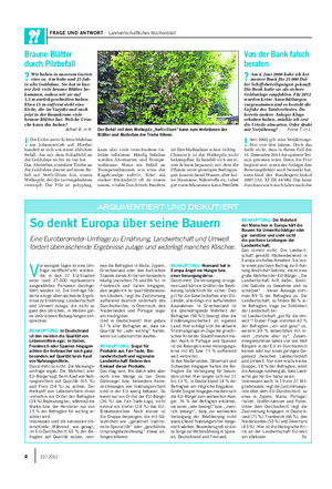 FRAGE UND ANTWORT Landwirtschaftliches Wochenblatt Braune Blätter durch Pilzbefall ?