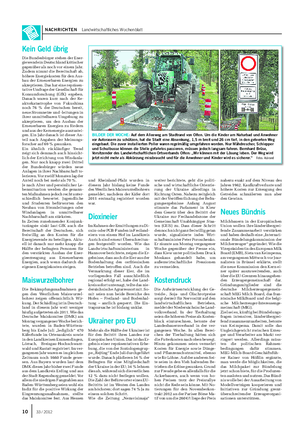 NACHRICHTEN Landwirtschaftliches Wochenblatt BILDER DER WOCHE: Auf dem Alleeweg am Stadtrand von Olfen.