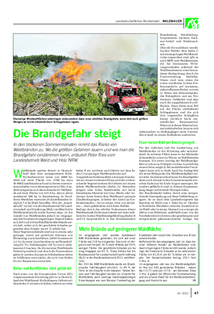 Landwirtschaftliches Wochenblatt WALDBAUER Die Brandgefahr steigt In den trockenen Sommermonaten nimmt das Risiko von Waldbränden zu.