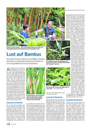 GARTEN Landwirtschaftliches Wochenblatt Urlaub im eigenen Garten – Silke und Christoph Kuhlmann schufen sich Erholungsraum zwischen Bambushainen und immergrünem Farn.