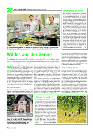 NATUR UND JAGD Landwirtschaftliches Wochenblatt Wildes aus der Senne Der Bundesforstbetrieb Rhein-Weser und die Fleischerei Klare aus Bad Lippspringe vermarkten gemeinsam Wildfleisch aus der Senne.
