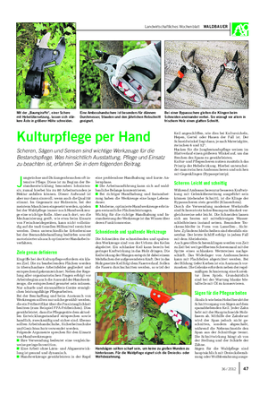 Landwirtschaftliches Wochenblatt WALDBAUER J ungwüchse und Dickungen brauchen oft in- tensive Pflege.
