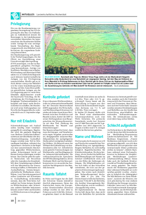 AKTUELLES Landwirtschaftliches Wochenblatt BILD DER WOCHE: Kunstwerk oder Folge des Winters?