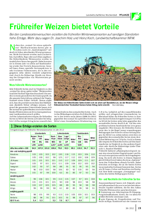 Landwirtschaftliches Wochenblatt PFLANZE Frühreifer Weizen bietet Vorteile Bei den Landessortenversuchen erzielten die frühreifen Winterweizensorten auf sandigen Standorten hohe Erträge.