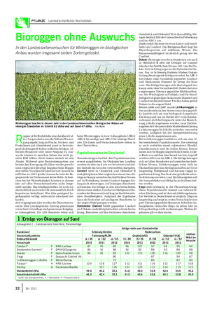 PFLANZE Landwirtschaftliches Wochenblatt Bioroggen ohne Auswuchs In den Landessortenversuchen für Winterroggen im ökologischen Anbau wurden insgesamt sieben Sorten getestet.