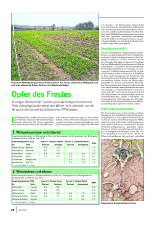 PFLANZE Landwirtschaftliches Wochenblatt I m Ökologischen Landbau wird seit einiger Zeit über den Anbau von Winterkörnerlegu- minosen diskutiert.