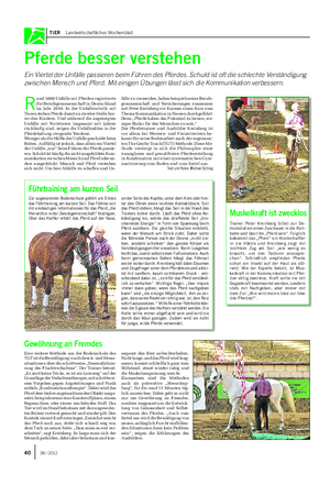TIER Landwirtschaftliches Wochenblatt Pferde besser verstehen Ein Viertel der Unfälle passieren beim Führen des Pferdes.
