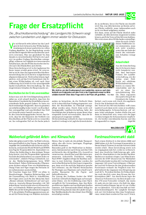 Landwirtschaftliches Wochenblatt NATUR UND JAGD WALDBAUER Frage der Ersatzpflicht Die „Bruchkolbenentscheidung“ des Landgerichts Schwerin sorgt zwischen Landwirten und Jägern immer wieder für Diskussion.