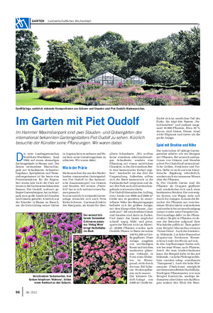 GARTEN Landwirtschaftliches Wochenblatt Im Garten mit Piet Oudolf Im Hammer Maximilianpark sind zwei Stauden- und Gräsergärten des international bekannten Gartengestalters Piet Oudolf zu sehen.