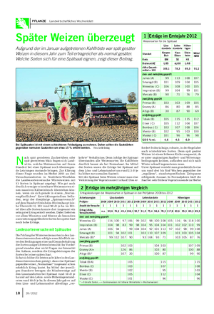PFLANZE Landwirtschaftliches Wochenblatt Später Weizen überzeugt Aufgrund der im Januar aufgetretenen Kahlfröste war spät gesäter Weizen in diesem Jahr zum Teil ertragreicher als normal gesäter.