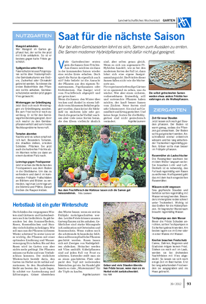 Landwirtschaftliches Wochenblatt GARTEN ZIERGARTEN Zeit für neue Stauden Jetzt lassen sich noch gut Stau- den pflanzen.
