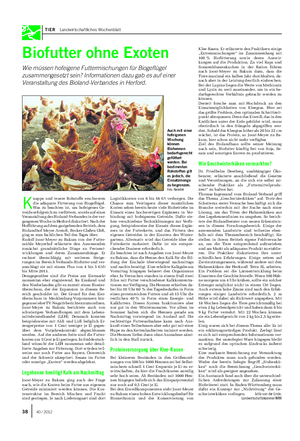 TIER Landwirtschaftliches Wochenblatt Biofutter ohne Exoten Wie müssen hofeigene Futtermischungen für Biogeflügel zusammengesetzt sein?