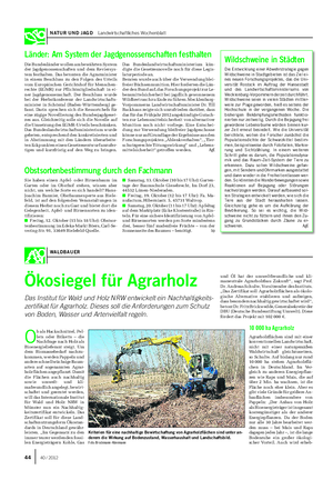 NATUR UND JAGD Landwirtschaftliches Wochenblatt WALDBAUER Ökosiegel für Agrarholz Das Institut für Wald und Holz NRW entwickelt ein Nachhaltigkeits- zertifikat für Agrarholz.
