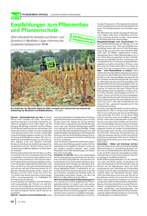 PFLANZENBAU AKTUELL Landwirtschaftliches Wochenblatt Getreide – Bodenbearbeitung und Saat: In dieser Woche wird verstärkt die CCM- und Körner- maisernte einsetzen.