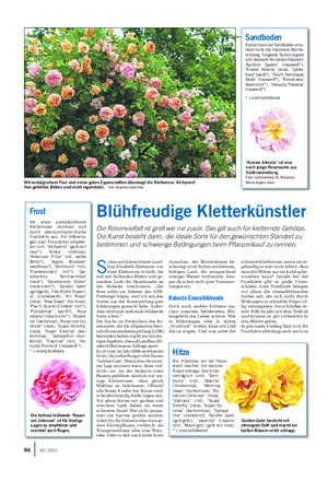 GARTEN Landwirtschaftliches Wochenblatt Blühfreudige Kletterkünstler Die Rosenvielfalt ist groß wie nie zuvor.