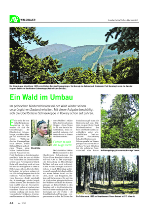 WALDBAUER Landwirtschaftliches Wochenblatt Ein Wald im Umbau Im polnischen Niederschlesien soll der Wald wieder seinen ursprünglichen Zustand erhalten.