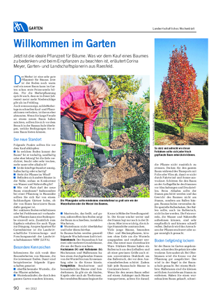GARTEN Landwirtschaftliches Wochenblatt D er Herbst ist eine sehr gute Pflanzzeit für Bäume.