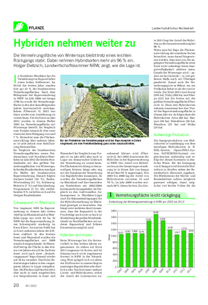 PFLANZE Landwirtschaftliches Wochenblatt Hybriden nehmen weiter zu Die Vermehrungsfläche von Winterraps bleibt trotz eines leichten Rückgangs stabil.