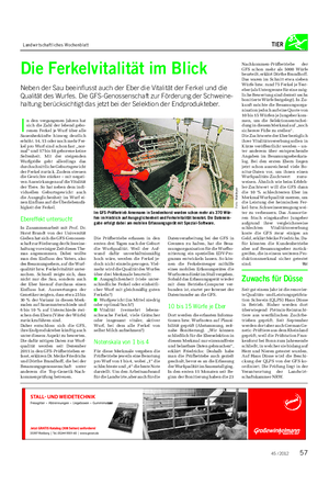 Landwirtschaftliches Wochenblatt TIER Die Ferkelvitalität im Blick Neben der Sau beeinflusst auch der Eber die Vitalität der Ferkel und die Qualität des Wurfes.