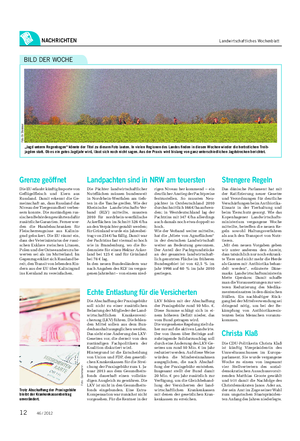 NACHRICHTEN Landwirtschaftliches Wochenblatt „Jagd unterm Regenbogen“ könnte der Titel zu diesem Foto lauten.