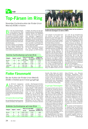 TIER Landwirtschaftliches Wochenblatt Top-Färsen im Ring November-Zuchtviehauktion der Rinder-Union West eG (RUW) in Hamm B ei der 192.