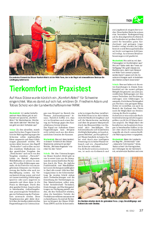 Landwirtschaftliches Wochenblatt TIER Wochenblatt: Im Landwirtschafts- zentrum Haus Düsse gibt es seit Kurzem ein spezielles „Komfort- Abteil“ für Mastschweine.