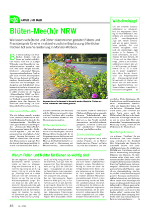 NATUR UND JAGD Blüten-Mee(h)r NRW Wie lassen sich Städte und Dörfer blütenreicher gestalten?