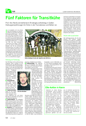 TIER Landwirtschaftliches Wochenblatt Fünf Faktoren für Transitkühe Prof.