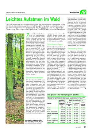 Landwirtschaftliches Wochenblatt WALDBAUER Leichtes Aufatmen im Wald Der Gesundheitszustand der wichtigsten Bäume hat sich verbessert.