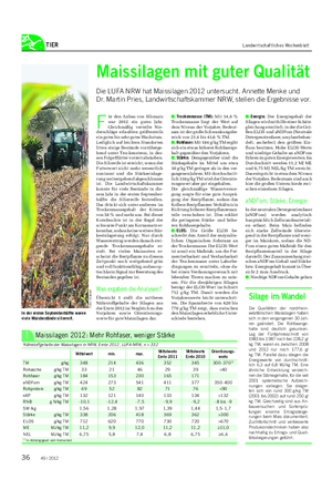 TIER Landwirtschaftliches Wochenblatt F ür den Anbau von Silomais war 2012 ein gutes Jahr.