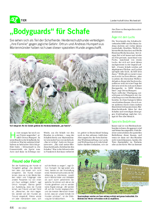 TIER Landwirtschaftliches Wochenblatt „Bodyguards“ für Schafe Sie sehen sich als Teil der Schafherde: Herdenschutzhunde verteidigen „ihre Familie“ gegen jegliche Gefahr.