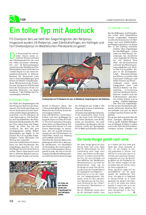 TIER Landwirtschaftliches Wochenblatt Ein toller Typ mit Ausdruck FS Champion de Luxe stellt den Siegerhengst bei den Reitponys.