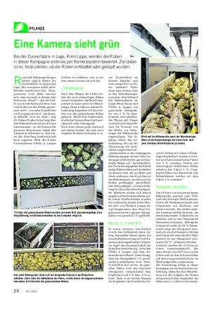 PFLANZE Landwirtschaftliches Wochenblatt Eine Kamera sieht grün Bei der Zuckerfabrik in Lage, Kreis Lippe, werden die Rüben in dieser Kampagne erstmals per Kamerasystem bewertet.