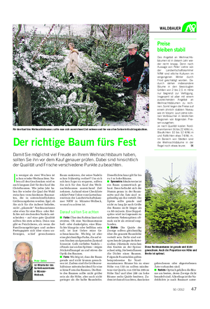 Landwirtschaftliches Wochenblatt WALDBAUER I n weniger als zwei Wochen ist schon wieder Weihnachten.