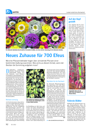 GARTEN Landwirtschaftliches Wochenblatt Die Deutsche Gartenbau-Gesellschaft will besondere Schätze, wie diese Aurikel-Sammlung, für die Nachwelt erhalten.
