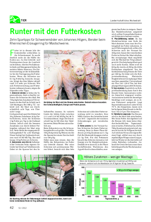TIER Landwirtschaftliches Wochenblatt Runter mit den Futterkosten Zehn Spartipps für Schweinemäster von Johannes Hilgers, Berater beim Rheinischen Erzeugerring für Mastschweine.