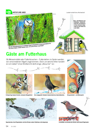NATUR UND JAGD Landwirtschaftliches Wochenblatt Gäste am Futterhaus Ob Meisenknödel oder Futterhäuschen – Futterstellen im Garten werden von verschiedenen Vögeln angenommen.