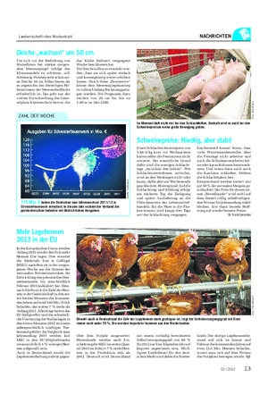 Landwirtschaftliches Wochenblatt NACHRICHTEN Mehr Legehennen 2013 in der EU In der Europäischen Union werden Anfang 2013 wieder deutlich mehr Hennen Eier legen.